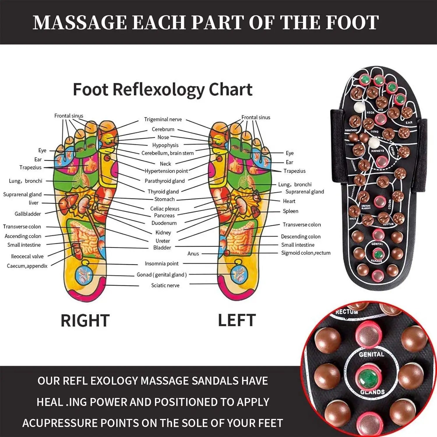 Acupressure Magnetic Therapy Paduka Slippers - Full Body Blood Circulation Massage Footwear Men Women